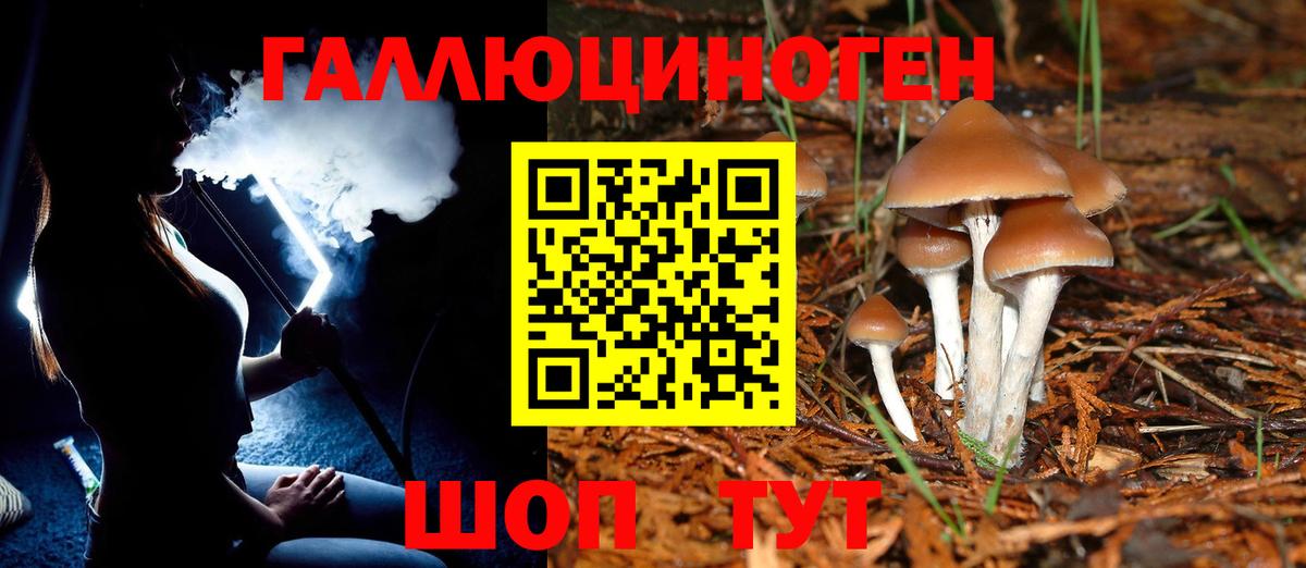 Галлюциногенные грибы Psilocybe  Вход с VPN  Минеральные Воды 